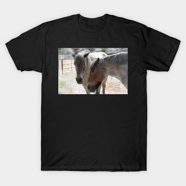 horses - portrait T-Shirt by hottehue